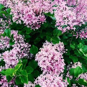 Meet your Posher, Claire